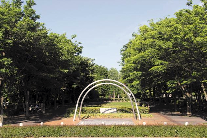 朝宮公園写真