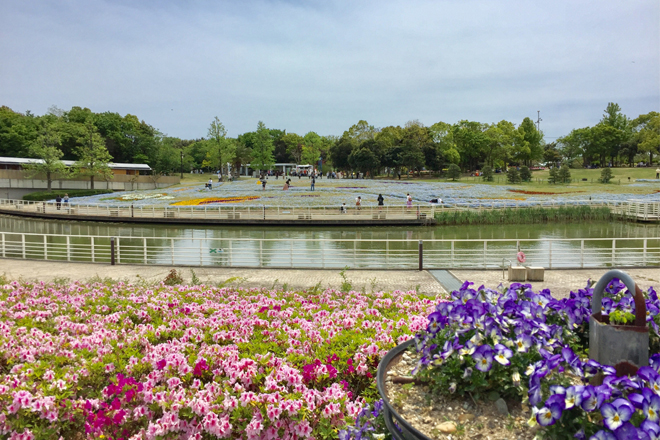浜名湖ガーデンパーク写真